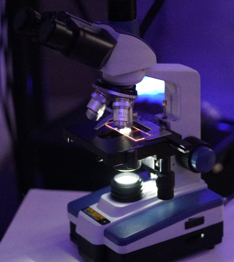 Design sem nome (16)